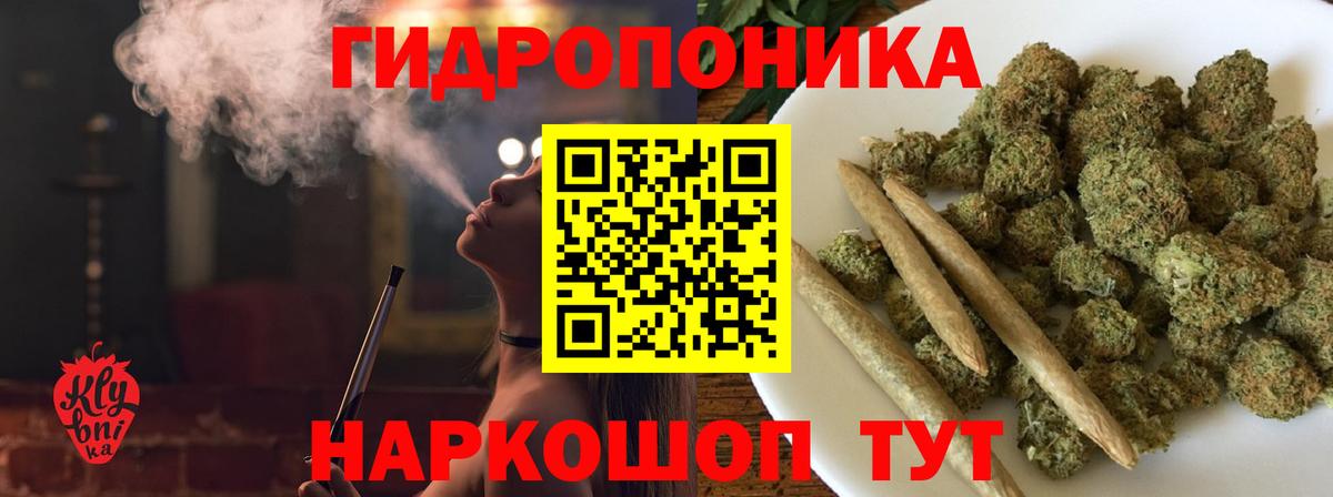 Конопля сатива  Конопля AK-47  Вход с VPN  Серов  Марихуана тримм 