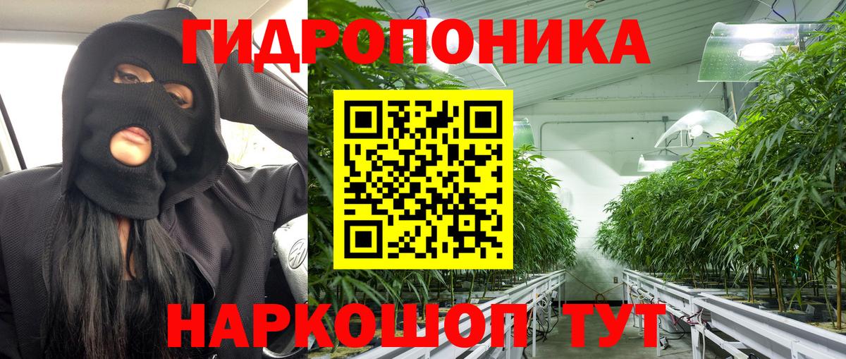 Каннабис марихуана Серов